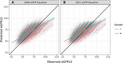 External Validation of Toulouse-Rangueil eGFR12 Prediction Model After Living Donor Nephrectomy